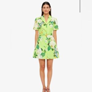 Leo Lin Brigitte Hydrangea Print in Lime